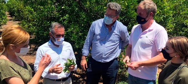 Barrachina: "La agricultura de Castellón está viviendo una situación de injusticia a diferencia de otros países de la Unión Europea"