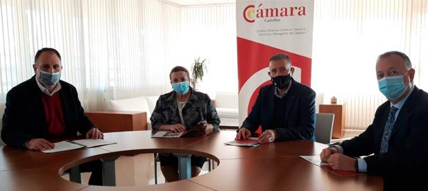 Sales: "Solo las políticas del PP garantizan empleo y oportunidades apoyando a quienes generan actividad. La izquierda prefiere repartir subsidios alentando la miseria y el drama social"