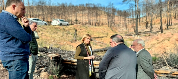 Aguilella ha reclamado la necesidad de hacer una profunda reflexión sobre la gestión forestal