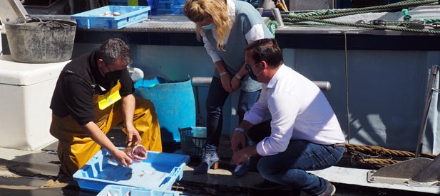 Un mes después de que el PP llevara a Diputación la situación límite de los pescadores por el castigo ejercido por el Gobierno del PSOE "nada se ha hecho y es urgente actuar ya"