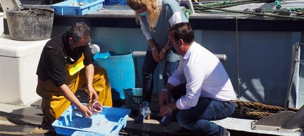 martínez: “Exigimos la reducción de los impuestos que gravan los hidrocarburos, con el fin de reducir el nivel de precios del gasóleo que utilizan las embarcaciones"
