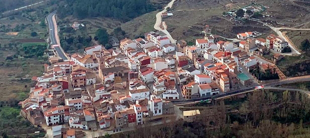 La CV-20 presenta un trazado con numerosas curvas y arcenes muy limitados. “Encontrarte con un ejemplar resulta peligroso, y lo es mucho más si ocurre de noche”