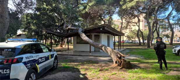 Carrasco ha asegurado que &ldquo;hoy y el tiempo que sea necesario se seguir&aacute; trabajando para recuperar la normalidad en las zonas afectadas y garantizar la seguridad de la ciudadan&iacute;a&rdquo;.
