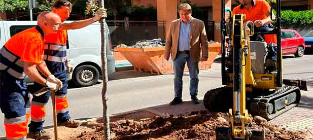 Se ha actuado en los seis distritos de la ciudad haciendo especial hincapi&eacute; en la Zona de Bajas Emisiones y en las zonas del Rio Seco y Cr&eacute;mor