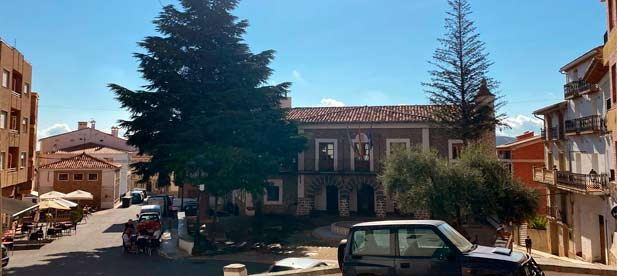 El cedro y otros árboles de la plaza serán talados por un proyecto que la alcaldesa se niega a modificar. Más de 300 firmas piden que se debata la obra. “Pedimos al PSOE que escuche a Bejís”