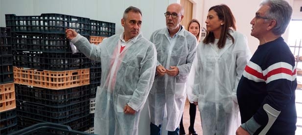 Los populares bajarán y suprimirán impuestos para que con menores cargas las empresas puedan recuperar la contratación