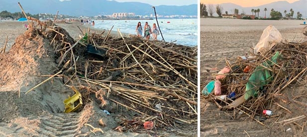 Begoña Carrasco, insta a la alcaldesa Amparo Marco a retirar las montañas de basura en la orilla de la playa y a actuar contra las plagas de mosquitos.