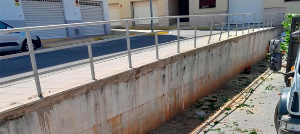 La regidora propone crear una ordenanza para proteger los árboles de Cabanes, realizar un inventario de los mismos y garantizar controles periódicos que eviten enfermedades que lleven a la tala.
