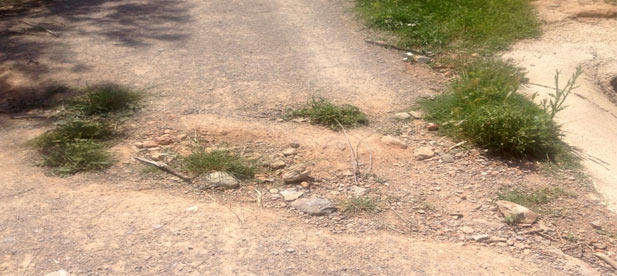 Miralles se ha hecho eco del malestar y las quejas de los vecinos de L' Alcora por la falta de mantenimiento y adecuación de los caminos rurales del término municipal.