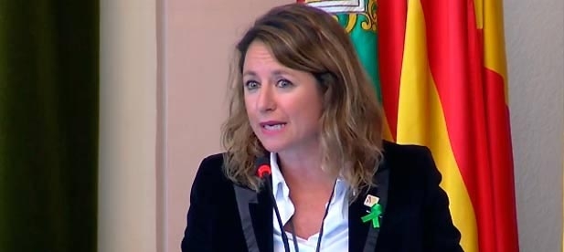 Carrasco: "Esperamos la comparecencia en el Pleno de la concejala de Fiestas, Pilar Escuder para dar explicaciones al 'món de la festa' con la clara intención de politizar las fiestas".