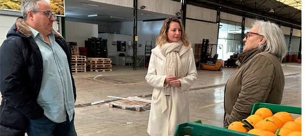 Carrasco: "Pedimos con urgencia un Plan de mejora de los tres mercados municipales de Castellón, el Mercado de Abastos, el Mercado Central y el Mercado de San Antonio, que acabe con las deficiencias"