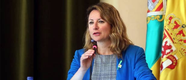 Carrasco: "Hay que redoblar esfuerzos contra las plagas de mosquitos para atender las numerosas quejas vecinales. Son especialmente notables en la Marjalería o el Serradal pero es un problema generalizado de toda la ciudad."