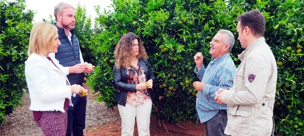 Clavell: "Los agricultores son el emblema de esta provincia que se esfuerza por conseguir los mejores resultados pese a que el PSOE boicotee inversiones y desarrollo"