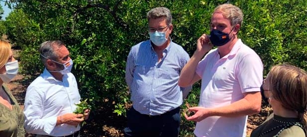 Vicente Martínez, senador del PP, lamenta que las políticas del PSOE "estén llevando a la inanición al campo. A las crisis continuadas se suma un desdén que hunde la agricultura"