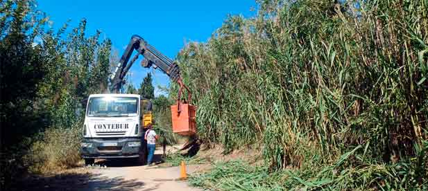 El proyecto incluye el cuidado de la red de riego y la posibilidad de ampliar la superficie de mantenimiento conforme se ejecuten futuras plantaciones