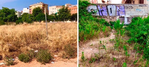 Redondo visita junto al presidente de la Asociación de Vecinos Donoso Cortés y adyacentes los solares abandonados e insalubres donde proliferan ratas y otros insectos