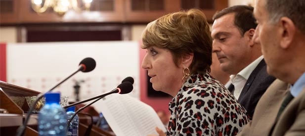 Elena Vicente-Ruiz, diputada provincial del PP, considera que "no podemos perder ni un día más sin habilitar acciones excepcionales que garanticen servicio a las familias"