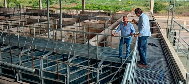 El diputado provincial de Mataderos, Sergio Fornas, visita las obras del matadero comarcal tras una inversión que refuerza la mejora del bienestar del animal y minimiza las incidencias y riesgos de orden sanitario planteados por los profesionales