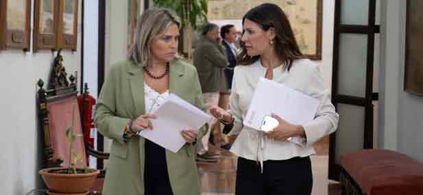 Los ayuntamientos decidir&aacute;n qu&eacute; comercios y actividades econ&oacute;micas podr&aacute;n adherirse a la campa&ntilde;a DipuComer&ccedil;.