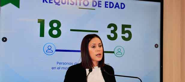Giner insiste en que "esta est&aacute; siendo la legislatura de la vivienda en Castell&oacute;n para el Gobierno municipal que dirige la alcaldesa, Bego&ntilde;a Carrasco"