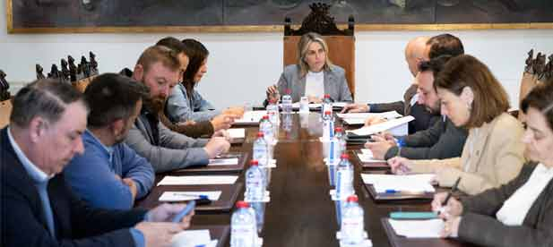 El presente plan se ha configurado a trav&eacute;s de la escucha activa que practica el Gobierno Provincial  "para seguir con el compromiso de atender de manera &aacute;gil y eficaz las necesidades de los 135 municipios"