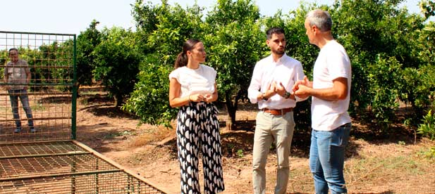 Ramírez anuncia que el Ayuntamiento está tramitando también una subvención a la Conselleria para contratar un servicio integral de control de la población de ungulados en diferentes puntos del término municipal de Castellón