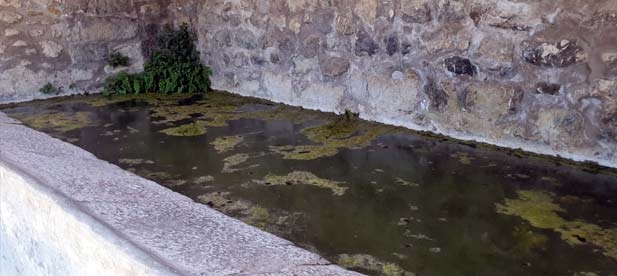Ortells denuncia el abandono de los lavaderos