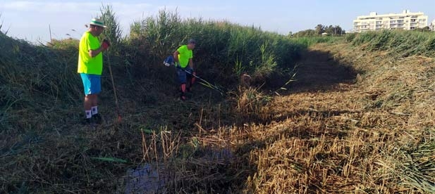 El Ayuntamiento prioriza las labores de limpieza con más de 40 trabajadores en el campo para prevenir posibles inundaciones
