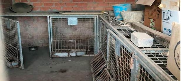 La portavoz del PP en Torreblanca vuelve a reclamar medidas a petición de asociaciones y vecinos, y exige el sacrificio cero para los animales recogidos