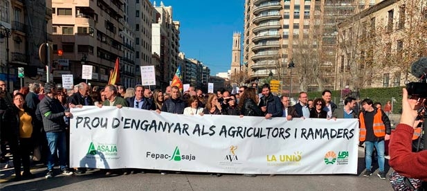 Los populares lamentan la mala gestión del Consell en la concesión de ayudas y las subidas de costes impulsadas por el Gobierno de Sánchez