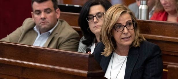 Marqués considera “básica” una puesta en común de las acciones con todos los municipios a fin de pactar las zonas a fumigar y planificar el calendario en base a criterios acordados por ambas partes