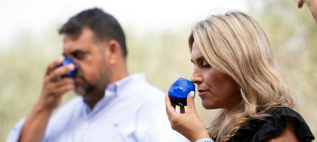 La presidenta Marta Barrachina ensalza al personal productor del aceite de oliva virgen extra "que lucha por mantener vivo un sector y una actividad económica muy importante para la provincia de Castellón