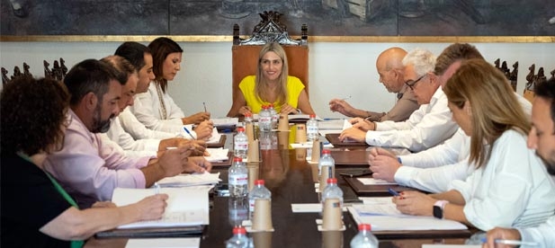 La institución provincial aprueba dos convenios destinados a la iluminación del campo de fútbol de Benlloc y para que El Toro cuente con nueva señalización urbana y periurbana