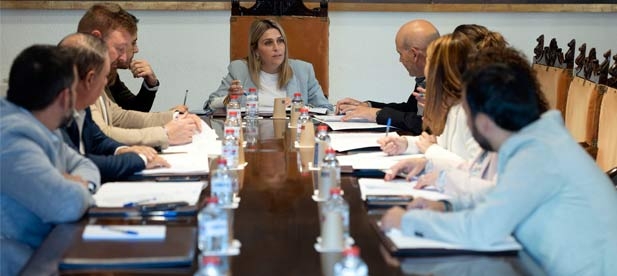 "Con esta aprobación damos un paso más en la tarea que desde la Diputación tenemos encomendada por reforzar la gestión eficiente del alumbrado público en los municipios pequeños", ha afirmado la presidenta, Marta Barrachina