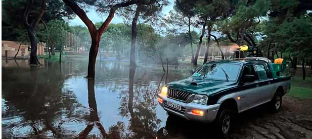 Castellón cuenta con un plan antimosquitos durante todo el año, con actuaciones preventivas y una planificación estratégica que nos permite anticiparnos a los periodos más sensibles.