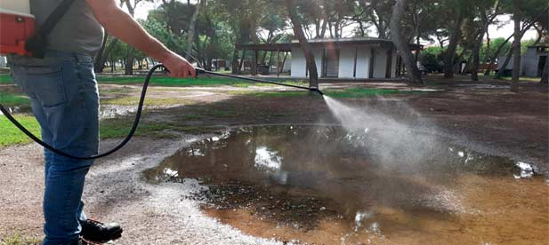 Estas actuaciones se enmarcan en el plan municipal de control de plagas, con intervenciones diarias en diferentes puntos del término municipal