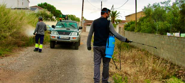 La colaboración ciudadana es esencial. Lo más importante es revisar patios, jardines o recipientes donde se pueda acumular agua, y en caso de detectar focos, comunicarlos al correo sanidad@castello.es