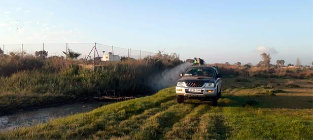 Tratamientos larvicidas en zonas húmedas del término municipal para prevenir la proliferación de mosquitos tras las últimas lluvias.
