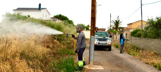 El gobierno municipal ha incrementado en 2025 la partida presupuestaria destinada al control de plagas de mosquitos, alcanzando los 80.010 euros, lo que supone un aumento del 26 % respecto al anterior contrato