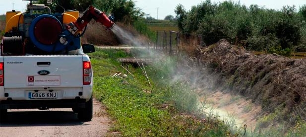 La Diputación continúa intensificando las actuaciones terrestres en todos los municipios litorales para controlar la eclosión de mosquitos de marjal