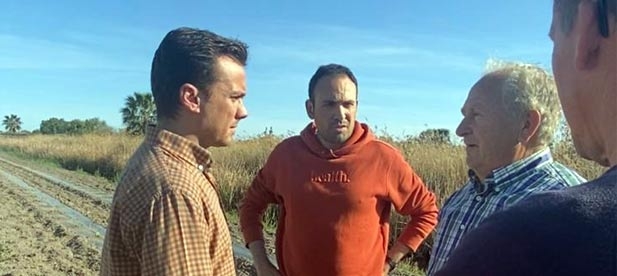 La propuesta eleva la voz de los citricultores y exige rectificar la rebaja aplicada por el Ministerio de Hacienda.