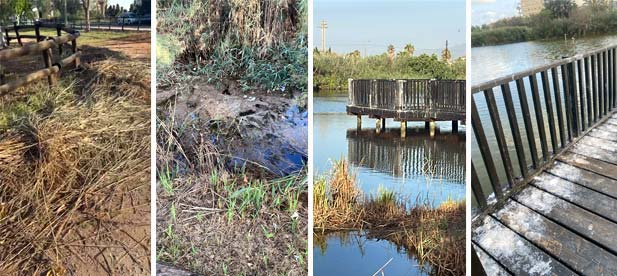 Barandillas en mal estado, limpieza deficiente, restos vegetales acumulados en el entorno y basura en el paraje presentan un estado "deplorable" de un "patrimonio de nuestro pueblo"