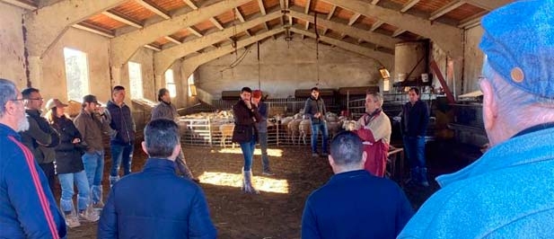 El coordinador comarcal del PP en la comarca de Els Ports celebra la decisión de la presidenta de la Diputación de Castellón, Marta Barrachina, de apoyar con ayudas económicas puntuales y transitorias a los afectados por el cierre de la planta.