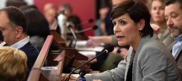Pallarés: "Desde la lealtad pedimos a la Diputación que active ya las ayudas tal y como siempre se ha hecho desde la institución"
