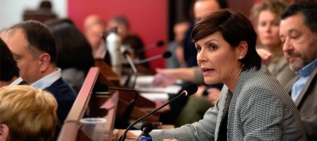 Pallarés (PP): "El cultivo del aceite no solo es base económica, es el antídoto a la despoblación que además de garantizar riqueza, asegura desarrollo y crea territorio"