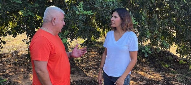 Reforzar las plantillas de la Guardia Civil y reservar un fondo de 400.000 euros en Diputación que permitiera a pueblos de menos de 5.000 habitantes y mancomunidades contratar seguridad