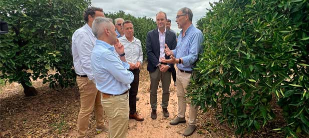 La Comunitat Valenciana lidera el apoyo a la contratación del seguro agrario con una inversión histórica de 33,1 millones de euros