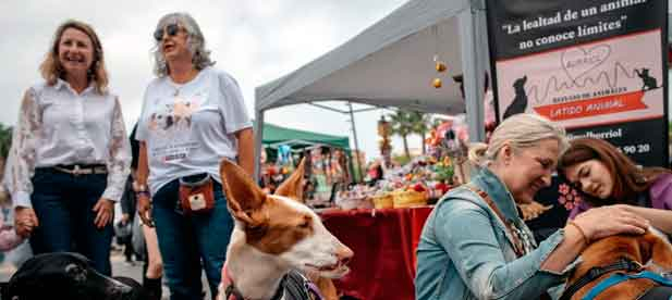 El festival continuar&aacute; ma&ntilde;ana con nuevas actividades y decenas de animales en adopci&oacute;n, evidenciando el creciente compromiso de la sociedad castellonense con la protecci&oacute;n animal y la adopci&oacute;n responsable.