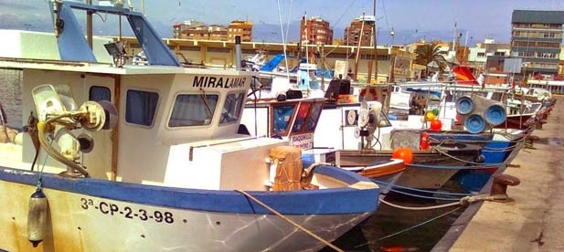 Guillamón: "Parece que a Marco le han interesado más sus vacaciones que el centenar de familias del Grao que viven de la pesca de arrastre"