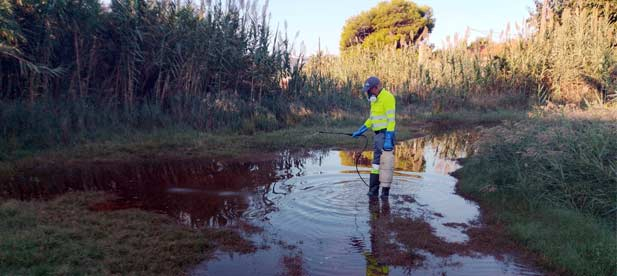 Debido a la inaccesibilidad de algunas zonas, la Diputación pedirá autorización para aplicar tratamientos aéreos como complemento a las labores terrestres.